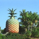 big-pineapple-3