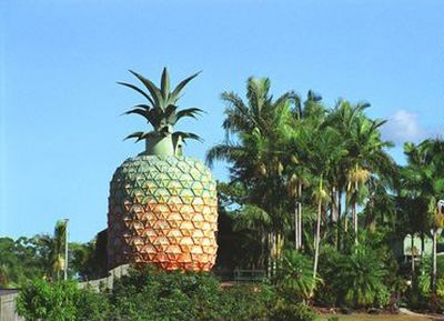 big-pineapple-3