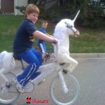 La bicicleta unicornio