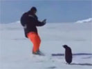 El ataque del pinguino