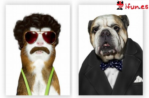 Fotos de perros disfrazados de famosos