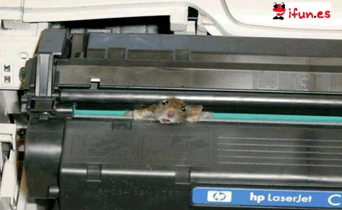 El ratón atorado en la impresora