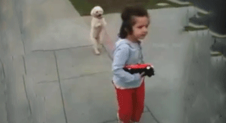 Perrito andando a dos patas