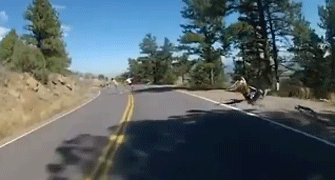 Chico con patineta choca contra venado