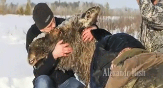 Mas vida a la tierra salvando un animal