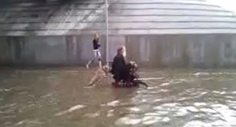 Perro en dos patas empuja silla de ruedas
