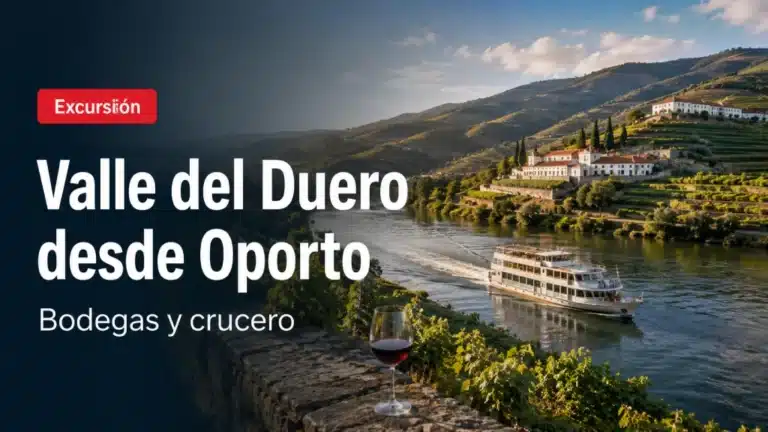 Viñedos y río Duero durante una excursión desde Oporto
